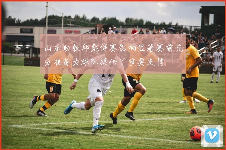 山东助教邱彪停赛影响显著赛前充分准备为球队提供了重要支持